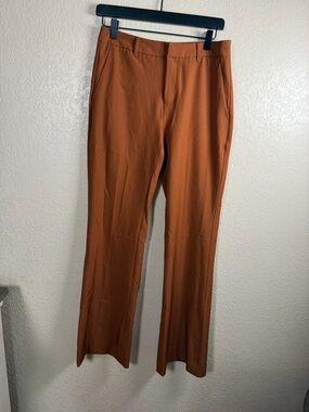 Banana Republic Rust Orange Women's Pants - Size 2
